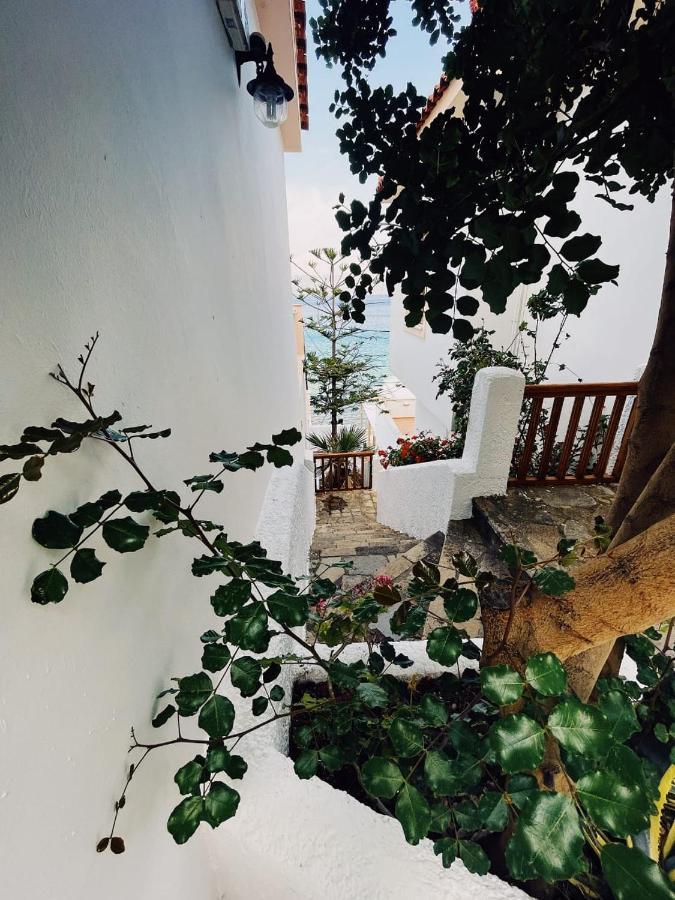 Nereides Seaside Apartments 马拉斯豪克艾蒙普斯 外观 照片