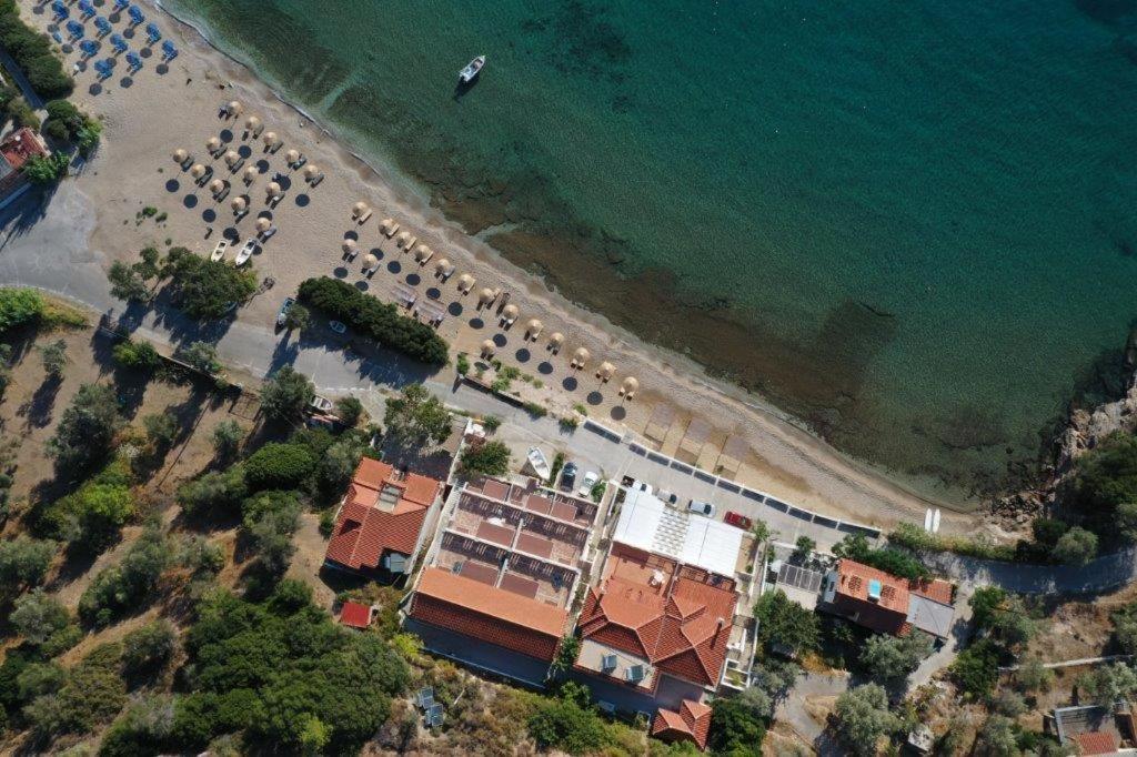 Nereides Seaside Apartments 马拉斯豪克艾蒙普斯 外观 照片
